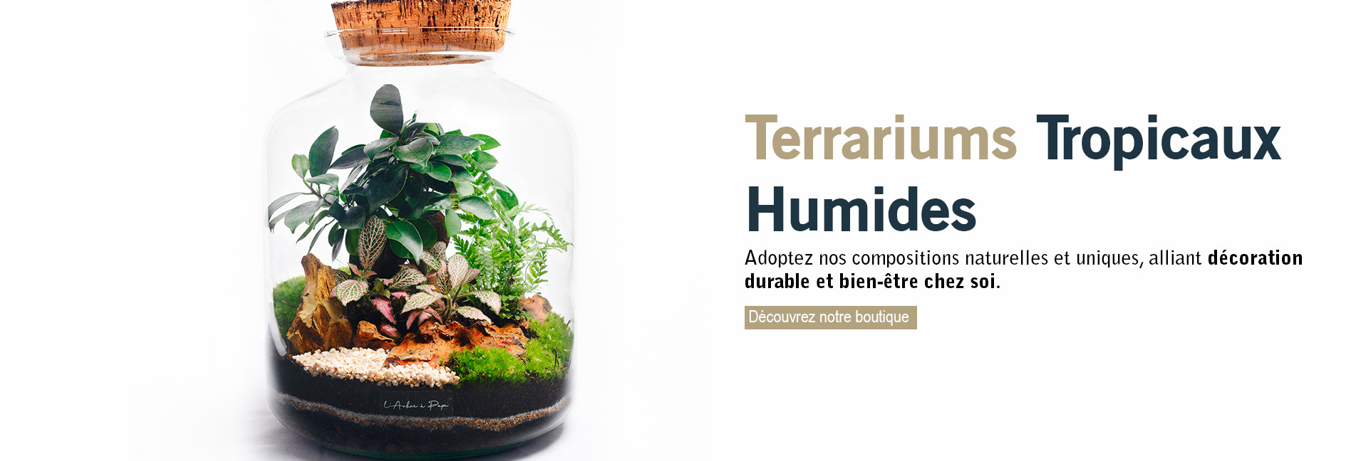 Terrariums tropicaux humides